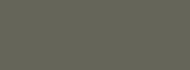 Galvanised Prepainted Steel